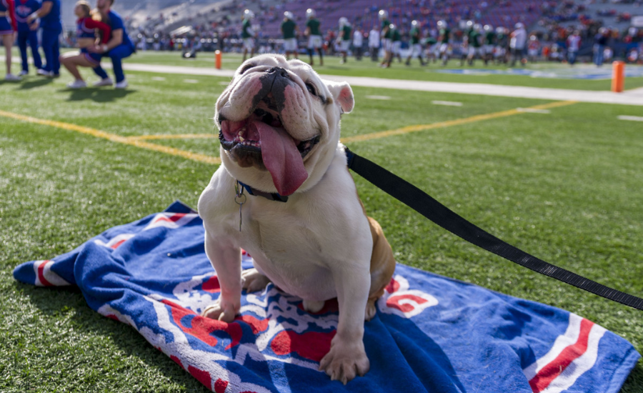 Louisiana Tech Bulldogs Betting Preview